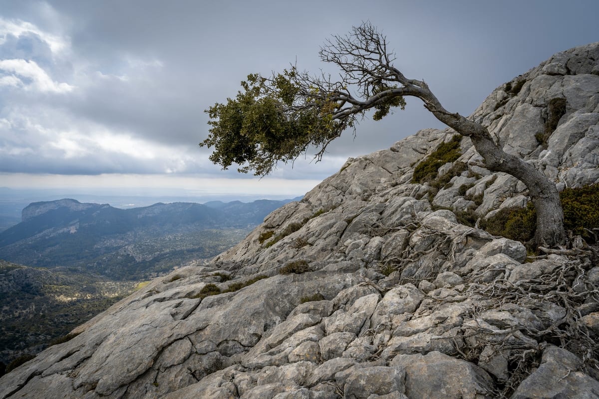 Strategic Resilience
